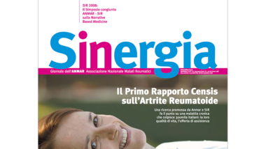 Sinergia – numero speciale 2008